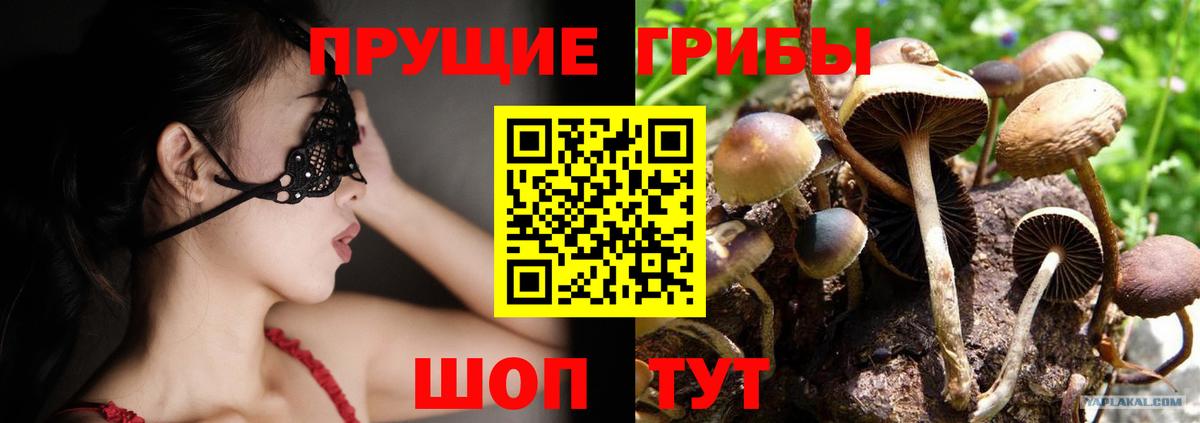 Псилоцибиновые грибы MAGIC MUSHROOMS Назрань